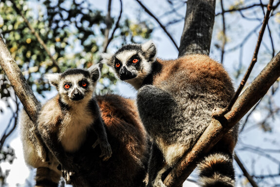 carnets de voyage4.jpeg