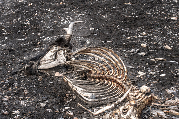 carnets de voyage6.jpeg