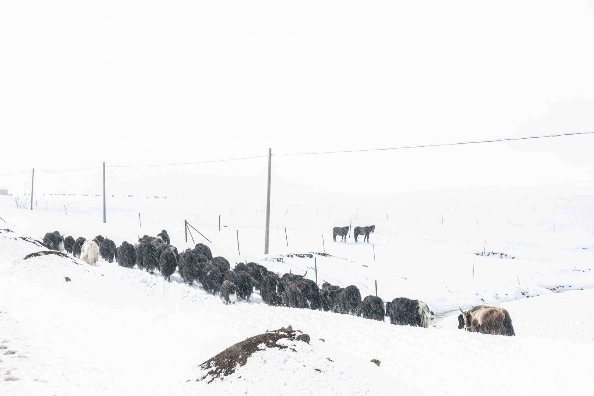 photos haut de page3.jpeg