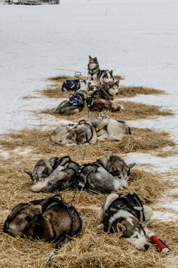 carnets de voyage1.jpeg