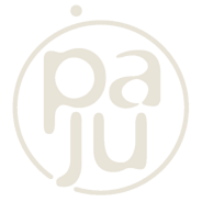 logo paju sable light