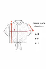 flake-coreana-galaxy