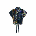 flake-coreana-galaxy