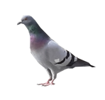 20210305_161014 copia 2