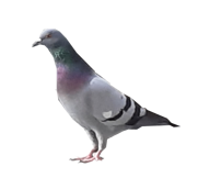 20210305_161014 copia 2