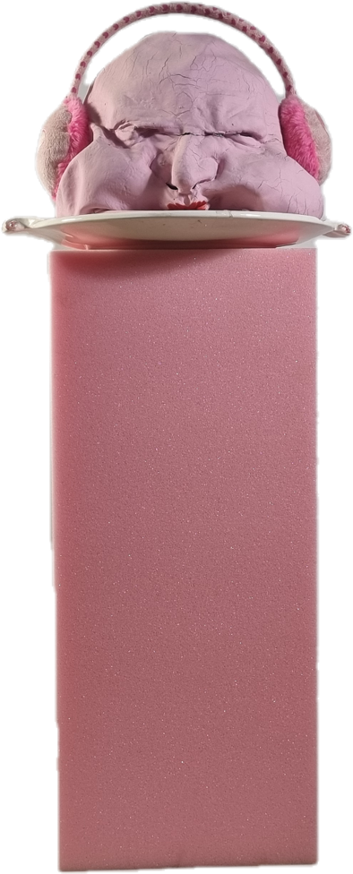 clipped_image_20260214_114739