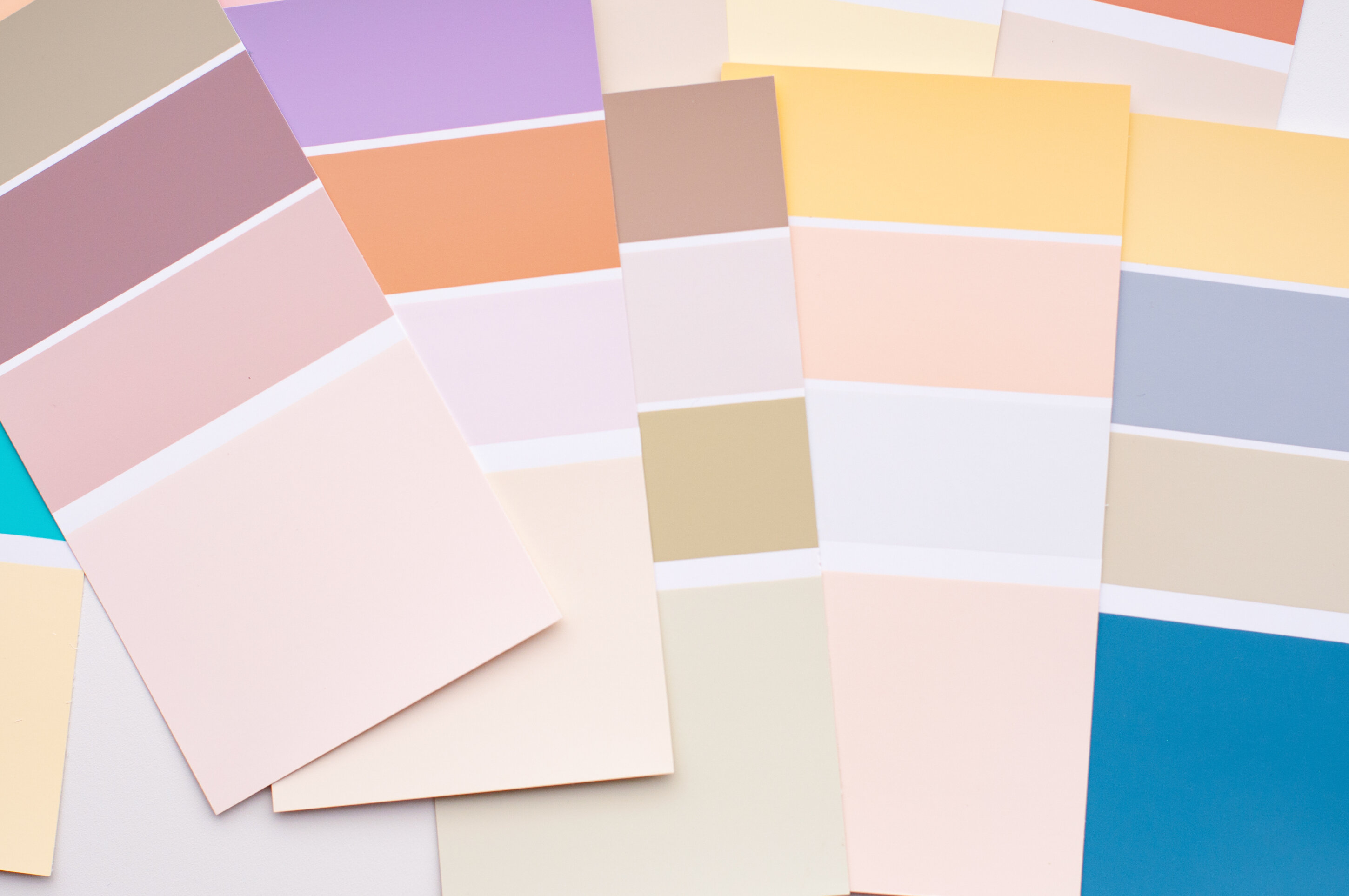 color-palette-with-various-samples.jpeg