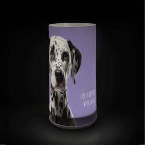 lampada-grafiche-cane-e-gatto