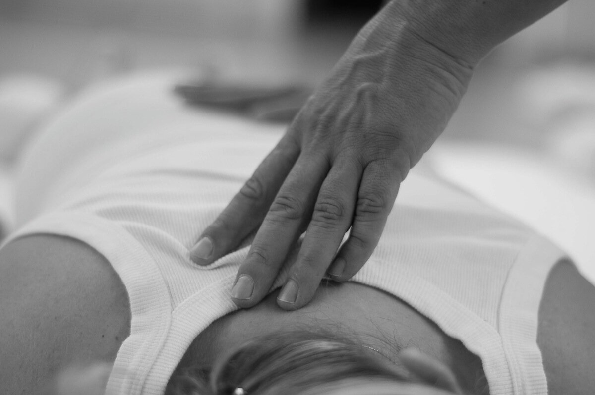 Yangsheng: l’arte di nutrire la vita (e perché oggi conta più che mai)