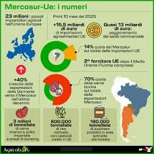 mercosur-infografica-2026.jpeg mercosur-infografica-2026.jpeg
