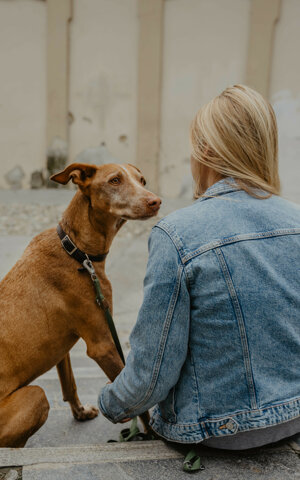 eyJpdCI6IkZvdG9ncmFmaWEgZGkgdW4gc2Vydml6aW8gZm90b2dyYWZpY28gYSB1bmEgcmFnYXp6YSBiaW9uZGEgY29uIGlsIHN1byBjYW5lIn0=