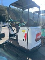 bobcat-e19