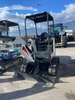 bobcat-e19