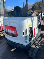 bobcat-e19