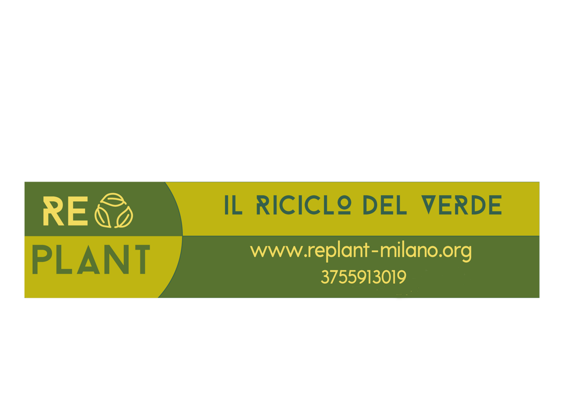 dai un'occhiata al mio progetto canva_