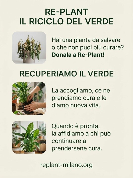 replant-poster-ordine-v7.jpeg