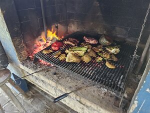 20241113_161048.jpeg