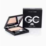 blush-fard-fresher-peach