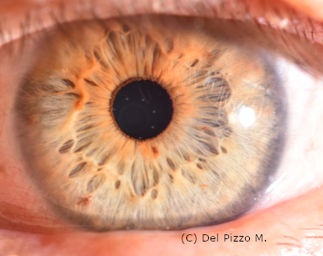 schermata 2022-01-14 alle 16.26.26