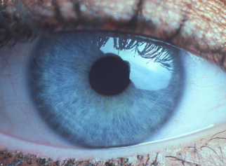 schermata 2022-01-13 alle 11.40.28