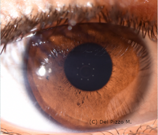 schermata 2022-01-14 alle 12.27.59