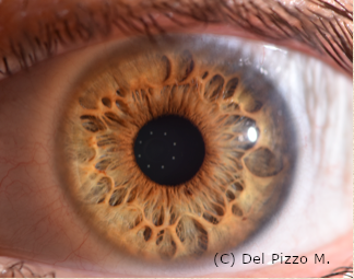 schermata 2022-01-13 alle 13.25.56