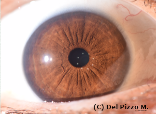 schermata 2022-01-13 alle 11.40.12