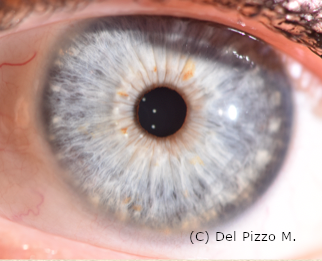 schermata 2022-01-13 alle 13.04.29