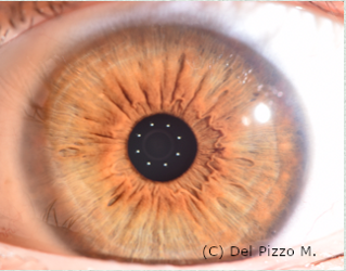 schermata 2022-01-13 alle 12.00.33