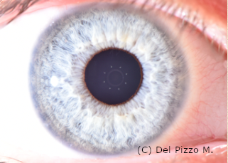 schermata 2022-01-13 alle 13.15.53