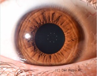 schermata 2022-01-14 alle 12.46.22