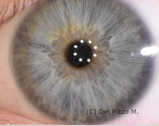 schermata 2022-01-14 alle 11.07.37