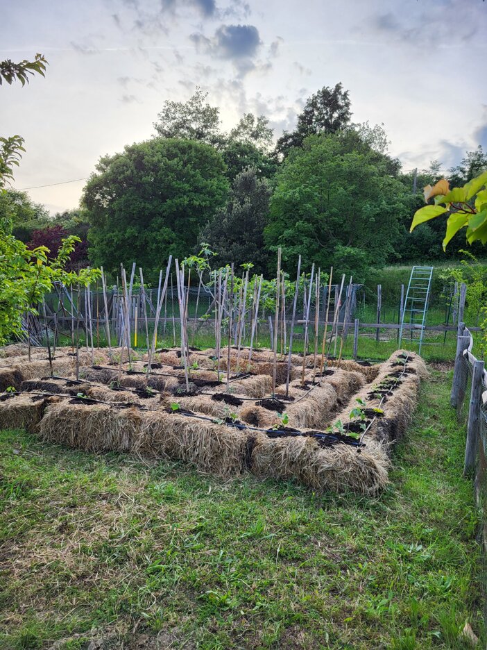 JTdCJTIyZW4lMjIlM0ElMjJIZW4lMjBpbiUyMGNsb3NlJTIwdmlldyUyMCVFMiU4MCU5NCUyMGZyZXNoJTIwZWdncyUyMGJvcm4lMjBlYWNoJTIwbW9ybmluZyUyMGZyb20lMjBhbiUyMGhvbmVzdCUyMGFncmljdWx0dXJhbCUyMHJoeXRobSUyMiUyQyUyMml0JTIyJTNBJTIyJTIyJTdE