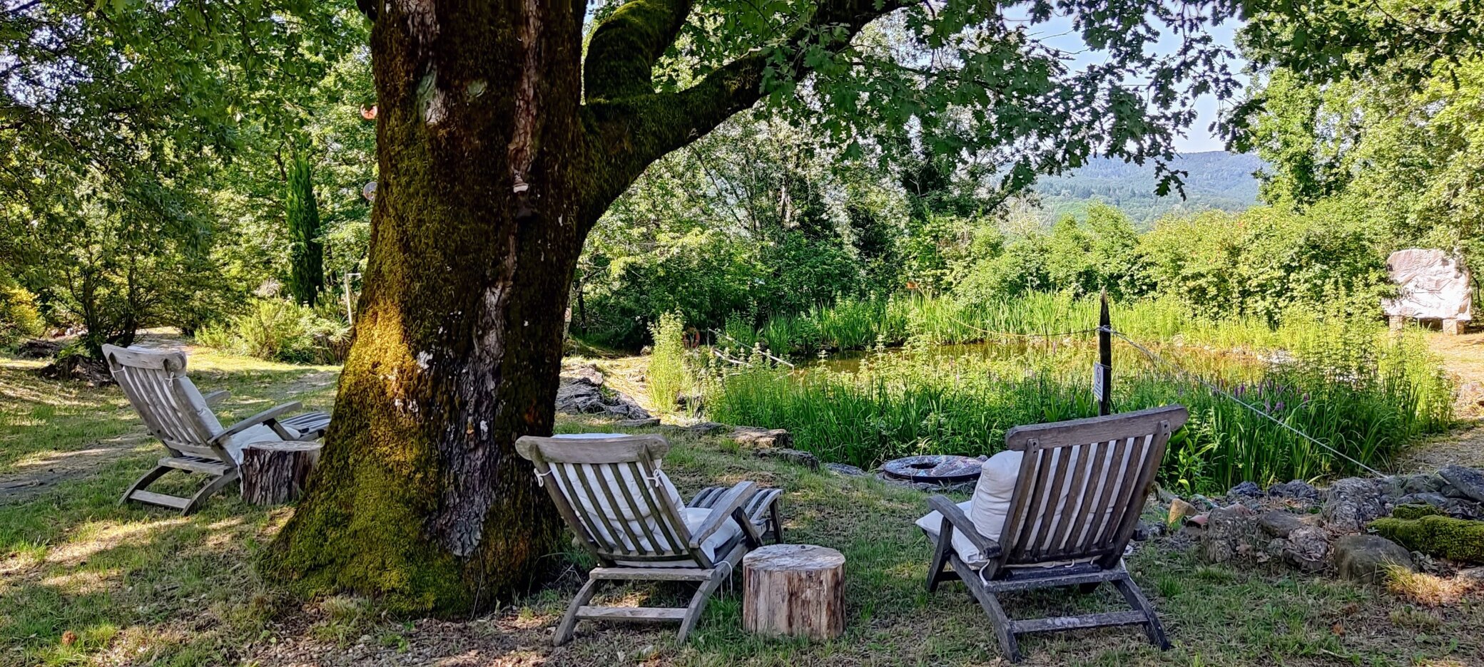 JTdCJTIyZW4lMjIlM0ElMjJMb3VuZ2VycyUyMGJlbmVhdGglMjB0aGUlMjBhbmNpZW50JTIwb2FrJTIwYnklMjB0aGUlMjBuYXR1cmFsJTIwcG9uZCUyMCVFMiU4MCU5NCUyMHF1aWV0JTIwcmV0cmVhdCUyMGltbWVyc2VkJTIwaW4lMjBsaXZpbmclMjBuYXR1cmUlMjIlMkMlMjJpdCUyMiUzQSUyMk9zcGl0aSUyMGNoZSUyMG51b3Rhbm8lMjB0cmElMjBsZSUyMG5pbmZlZSUyMCVFMiU4MCU5MyUyMGFybW9uaWElMjBjb24lMjBsYSUyMG5hdHVyYSUyMiU3RA==