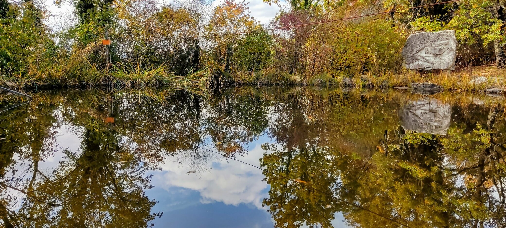 JTdCJTIyZW4lMjIlM0ElMjIlMjIlMkMlMjJpdCUyMiUzQSUyMk9zcGl0aSUyMGNoZSUyMG51b3Rhbm8lMjB0cmElMjBsZSUyMG5pbmZlZSUyMCVFMiU4MCU5MyUyMGFybW9uaWElMjBjb24lMjBsYSUyMG5hdHVyYSUyMiU3RA==