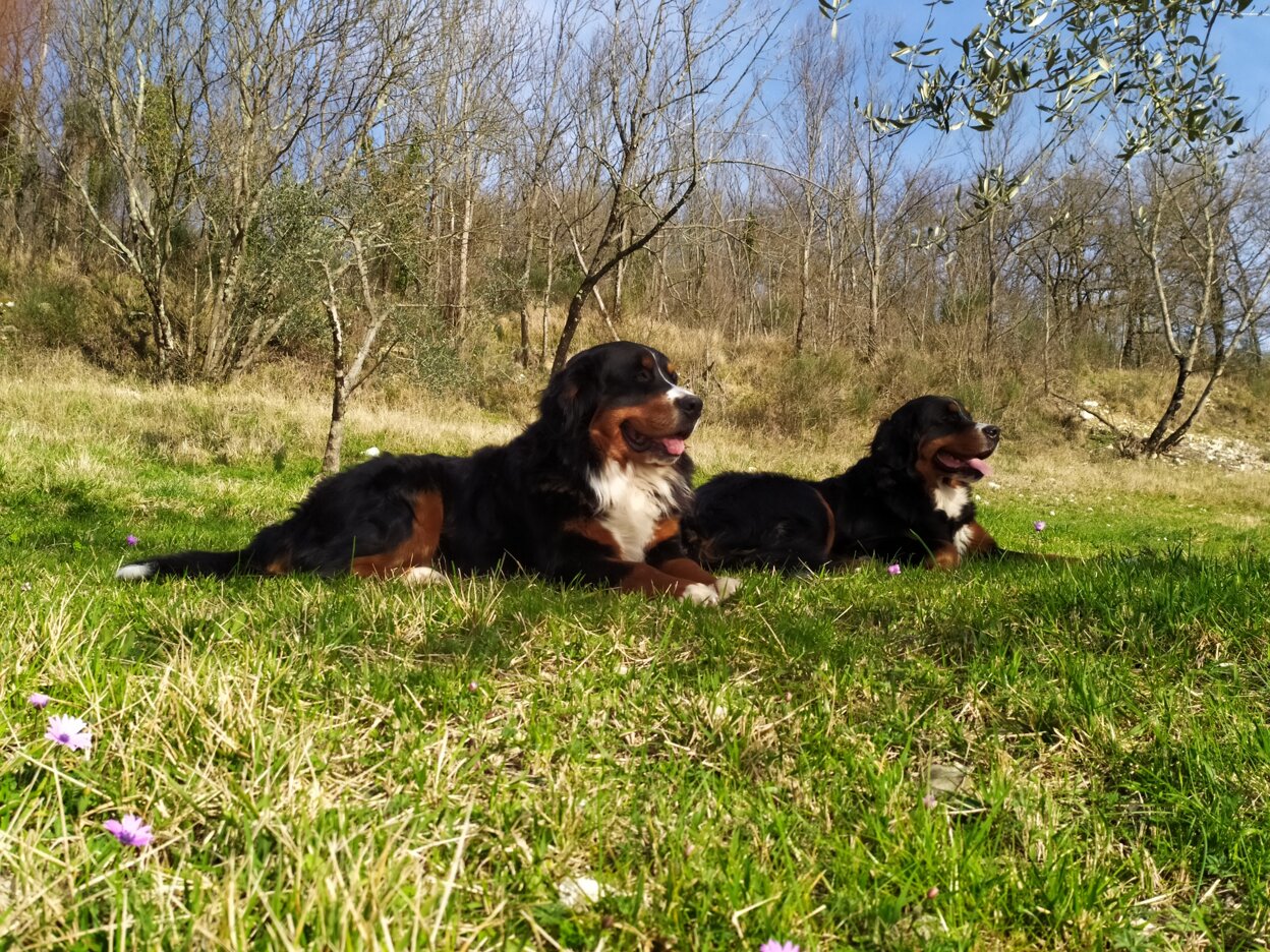 eyJlbiI6ImF1dGhlbnRpYyBUdXNjYW4gaG9zcGl0YWxpdHkgZXhwZXJpZW5jZSwgc2xvdyB0cmF2ZWwgVHVzY2FueSBjb3VudHJ5c2lkZSwgc3VzdGFpbmFibGUgZmFybWhvdXNlIGluIE1hcmVtbWEsIHJ1cmFsIGVzY2FwZSBpbiBUdXNjYW55LCBib3V0aXF1ZSBhZ3JpdHVyaXNtbyBUdXNjYW55IHNsb3cgbGl2aW5nIiwiaXQiOiJhZ3JpdHVyaXNtbyBhdXRlbnRpY28gdHJhIGxlIGNvbGxpbmUgdG9zY2FuZSwgZXNwZXJpZW56YSBzbG93IGxpdmluZyBNYXJlbW1hLCB2YWNhbnplIGF1dGVudGljaGUgaW4gVG9zY2FuYSBydXJhbGUsIG9zcGl0YWxpdOAgc29zdGVuaWJpbGUgVG9zY2FuYSwgcmlmdWdpbyBkaSBjaGFybWUgaW4gY2FtcGFnbmEifQ==