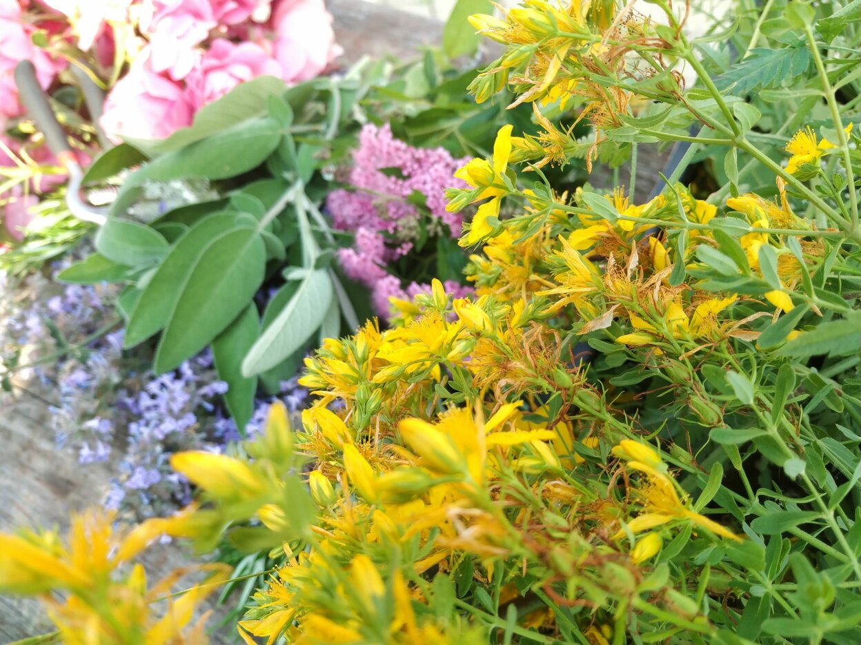 JTdCJTIyZW4lMjIlM0ElMjJPcmdhbmljJTIwZ2FyZGVuJTIwd2l0aCUyMHNlYXNvbmFsJTIwdmVnZXRhYmxlcyUyMCVFMiU4MCU5MyUyMGJhbGFuY2UlMjBhbmQlMjBkYWlseSUyMGxpZmUlMjIlMkMlMjJpdCUyMiUzQSUyMk9ydG8lMjBiaW9sb2dpY28lMjBjb24lMjB2ZXJkdXJlJTIwZGklMjBzdGFnaW9uZSUyMCVFMiU4MCU5MyUyMGVxdWlsaWJyaW8lMjBlJTIwdml0YSUyMHF1b3RpZGlhbmElMjIlN0Q=