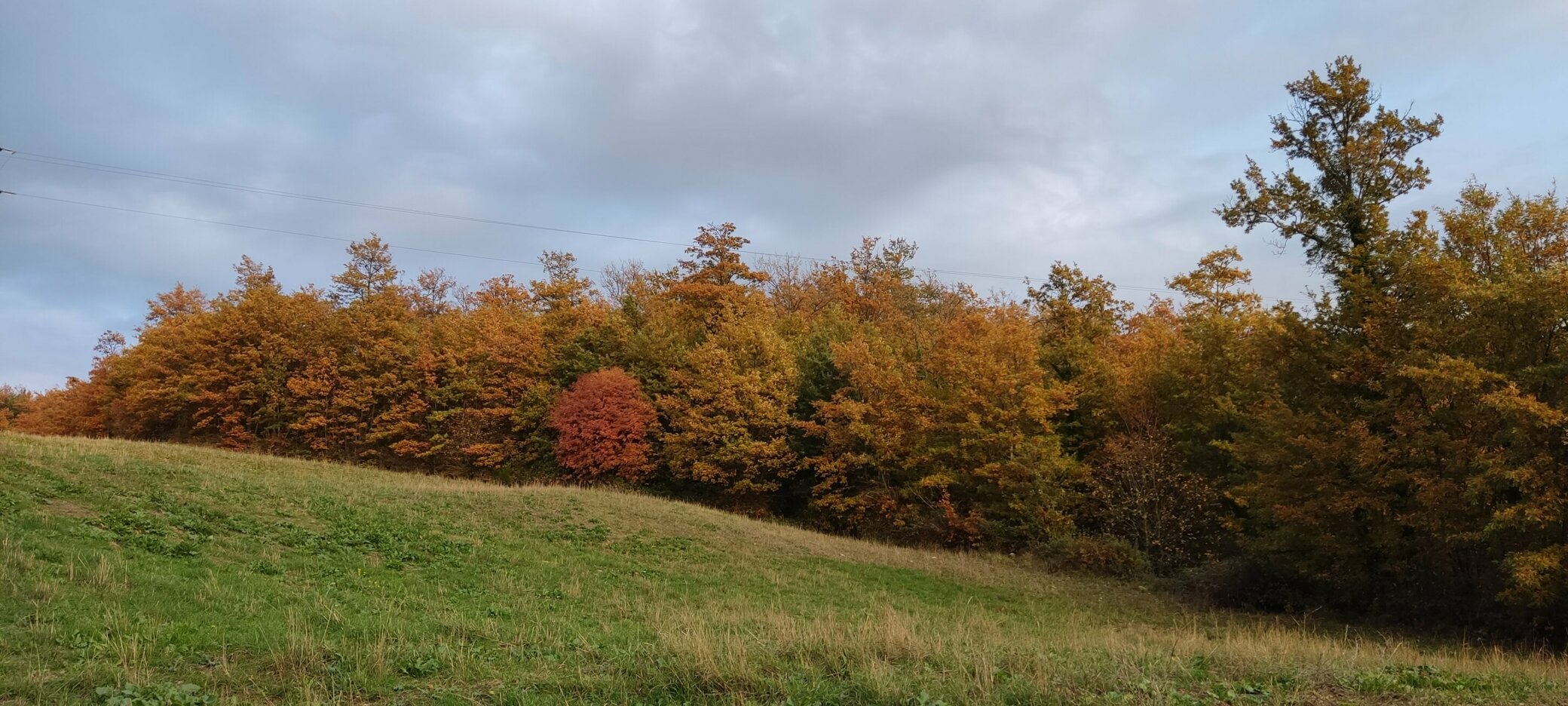 JTdCJTIyZW4lMjIlM0ElMjJIZW4lMjBpbiUyMGNsb3NlJTIwdmlldyUyMCVFMiU4MCU5NCUyMGZyZXNoJTIwZWdncyUyMGJvcm4lMjBlYWNoJTIwbW9ybmluZyUyMGZyb20lMjBhbiUyMGhvbmVzdCUyMGFncmljdWx0dXJhbCUyMHJoeXRobSUyMiUyQyUyMml0JTIyJTNBJTIyJTIyJTdE