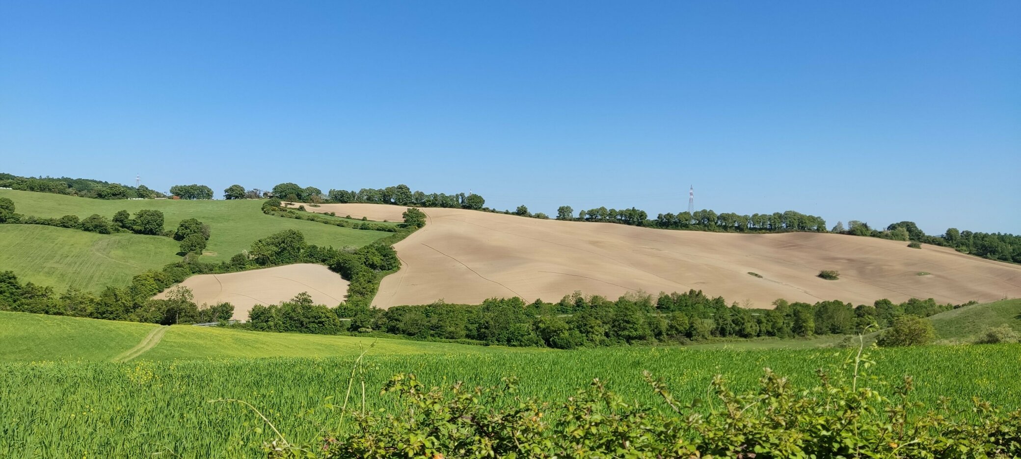 JTdCJTIyZW4lMjIlM0ElMjJIZW4lMjBpbiUyMGNsb3NlJTIwdmlldyUyMCVFMiU4MCU5NCUyMGZyZXNoJTIwZWdncyUyMGJvcm4lMjBlYWNoJTIwbW9ybmluZyUyMGZyb20lMjBhbiUyMGhvbmVzdCUyMGFncmljdWx0dXJhbCUyMHJoeXRobSUyMiUyQyUyMml0JTIyJTNBJTIyJTIyJTdE