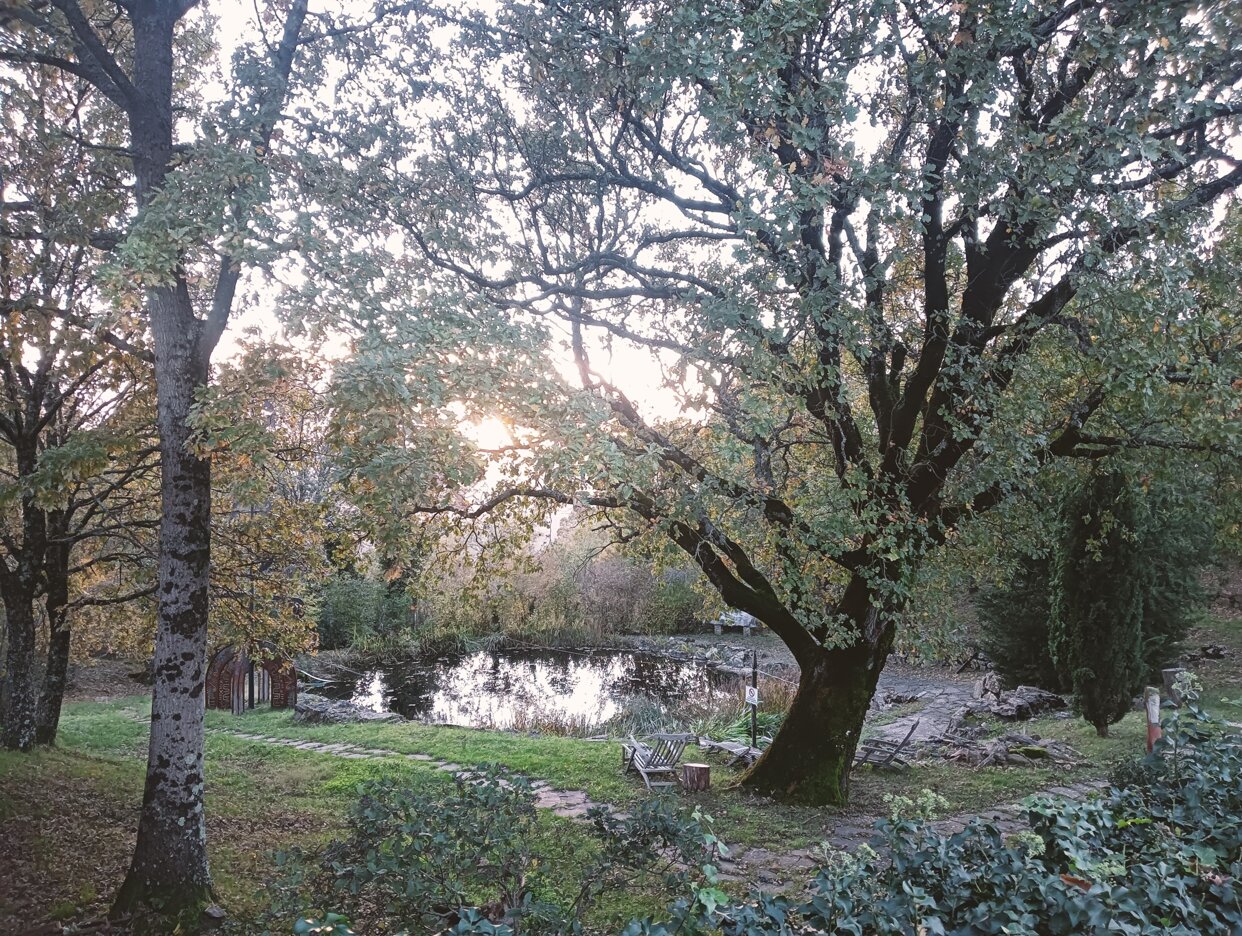 Tuscan farmhouse with natural bio pond, sustainable swimming experience in Tuscany, eco holiday with bio pond in Maremma, relaxing in natural and silent water, eco-friendly swimming pond in Tuscany