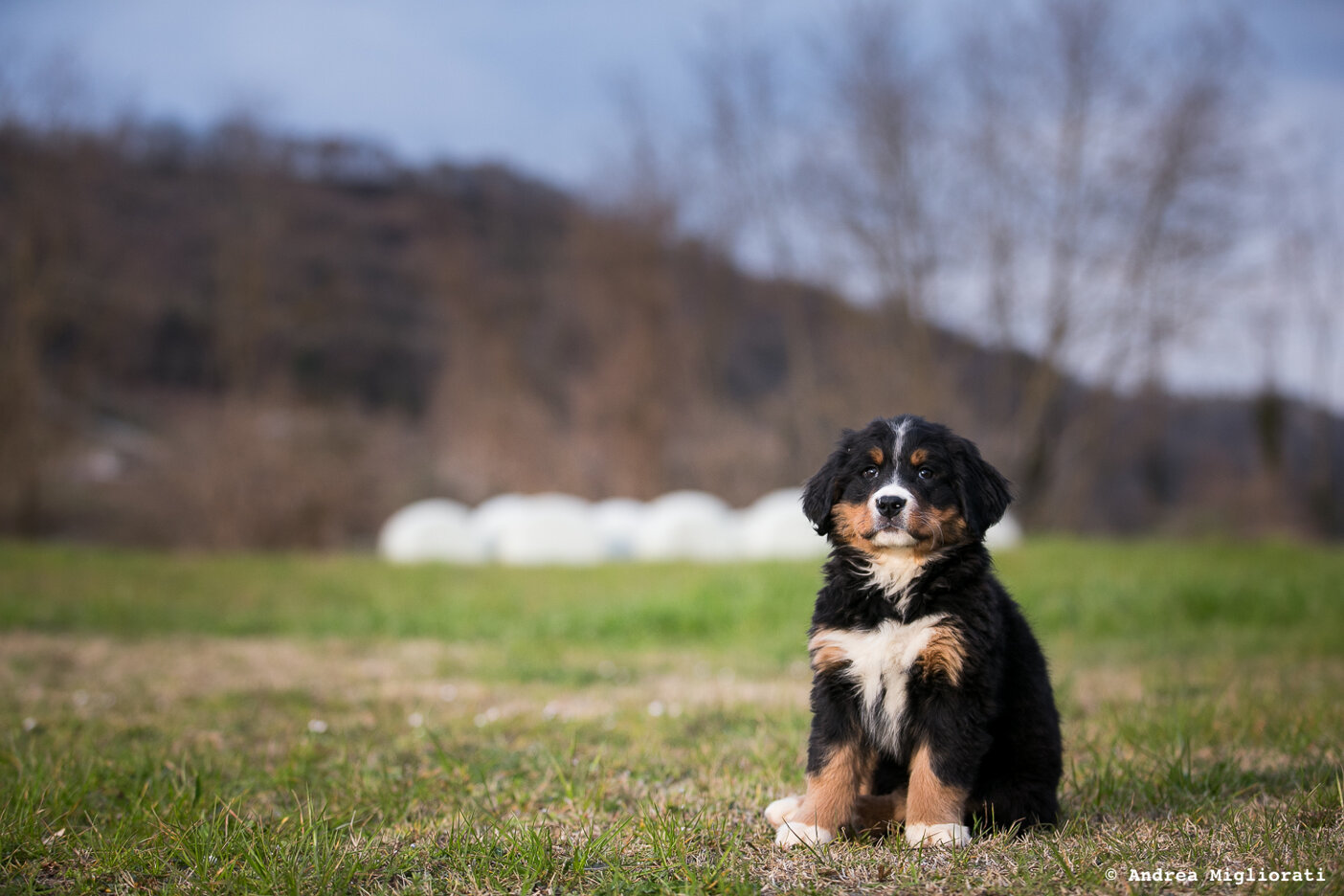 JTdCJTIyZW4lMjIlM0ElMjJEaXNjb3ZlciUyMGV2ZXJ5ZGF5JTIwbGlmZSUyMGF0JTIwQ2ElRTIlODAlOTlOb3ZhZSUyMiUyQyUyMml0JTIyJTNBJTIyQ29ub3NjaSUyMGxhJTIwdml0YSUyMHF1b3RpZGlhbmElMjBkaSUyMENhJUUyJTgwJTk5Tm92YWUlMjIlN0Q=