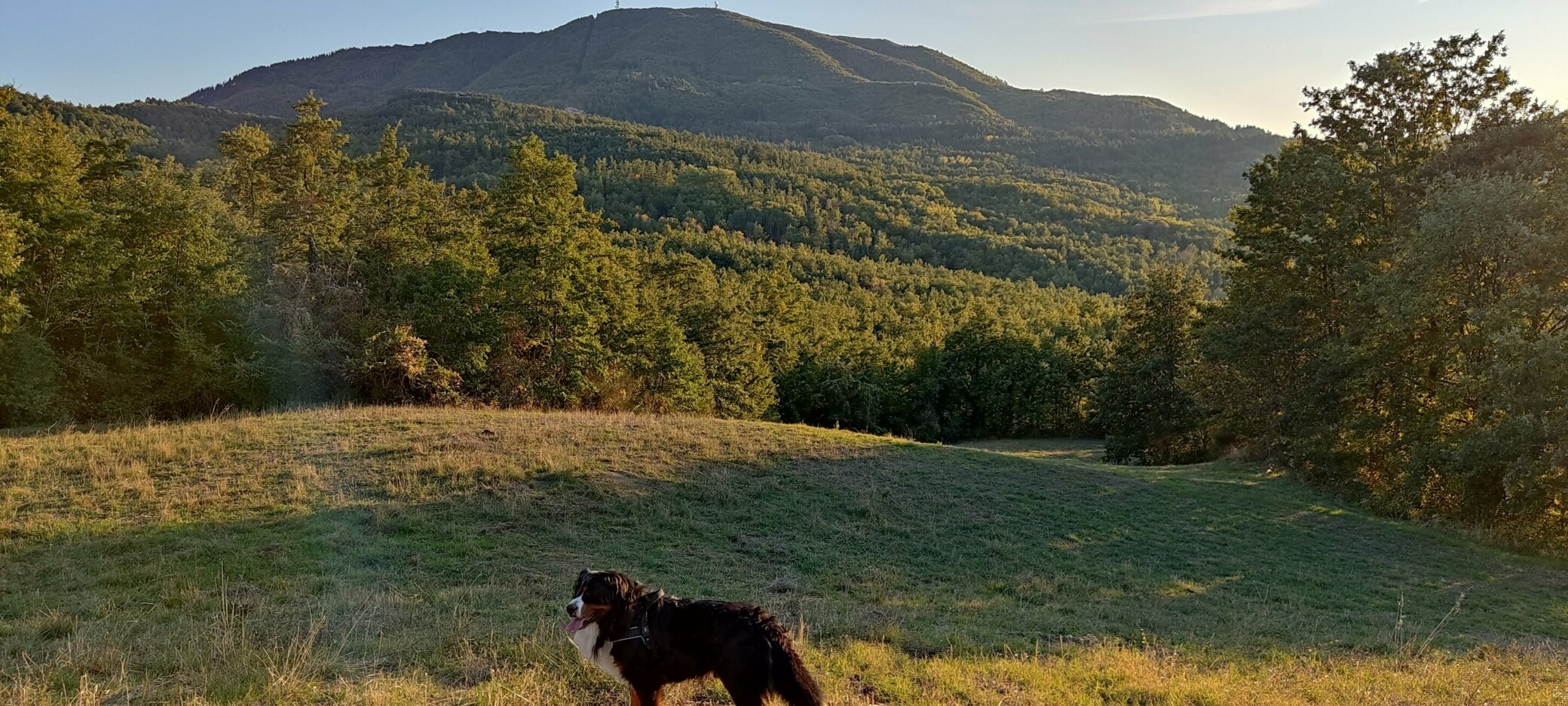 JTdCJTIyZW4lMjIlM0ElMjJhdXRoZW50aWMlMjBleHBlcmllbmNlcyUyMFR1c2NhbnklMkMlMjBDYSVFMiU4MCU5OU5vdmFlJTIwcGFzc2lvbnMlMkMlMjBleHBlcmllbnRpYWwlMjBmYXJtaG91c2UlMkMlMjBUdXNjYW55JTIwc2xvdyUyMGxpdmluZyUyQyUyMG1pbmRmdWwlMjB0cmF2ZWwlMjBNYXJlbW1hJTIyJTJDJTIyaXQlMjIlM0ElMjJlc3BlcmllbnplJTIwYXV0ZW50aWNoZSUyMFRvc2NhbmElMkMlMjBwYXNzaW9uaSUyMENhJUUyJTgwJTk5Tm92YWUlMkMlMjBhZ3JpdHVyaXNtbyUyMGVzcGVyaWVuemlhbGUlMkMlMjBUb3NjYW5hJTIwc2xvdyUyMGxpdmluZyUyQyUyMHR1cmlzbW8lMjBjb25zYXBldm9sZSUyME1hcmVtbWElMjIlN0Q=