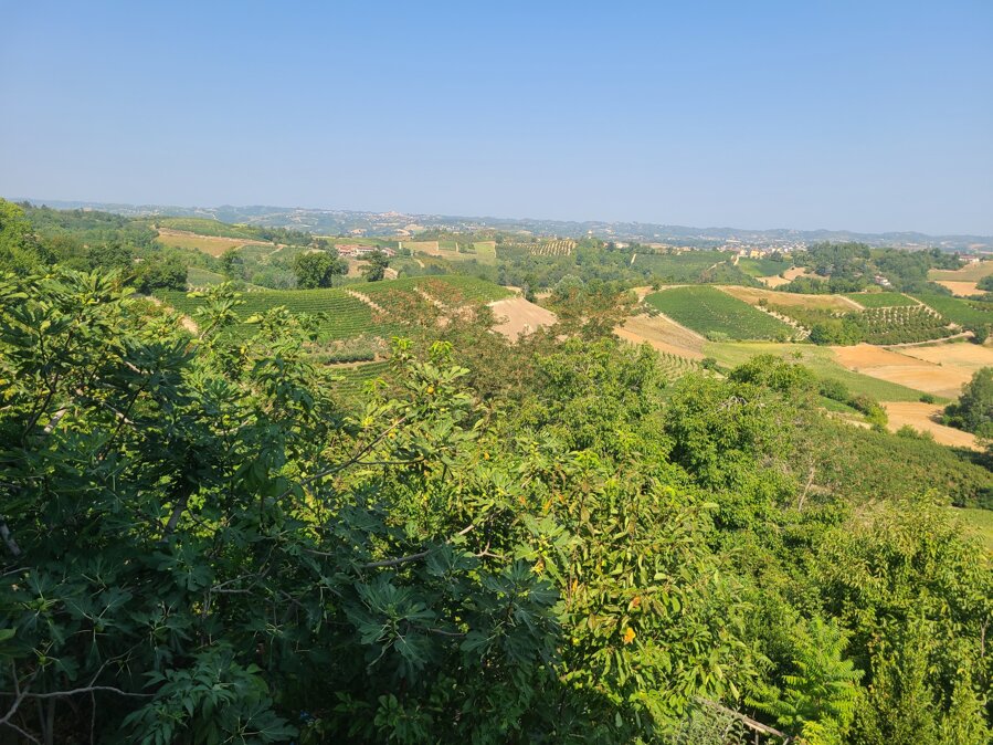 vista roero ancora.jpeg