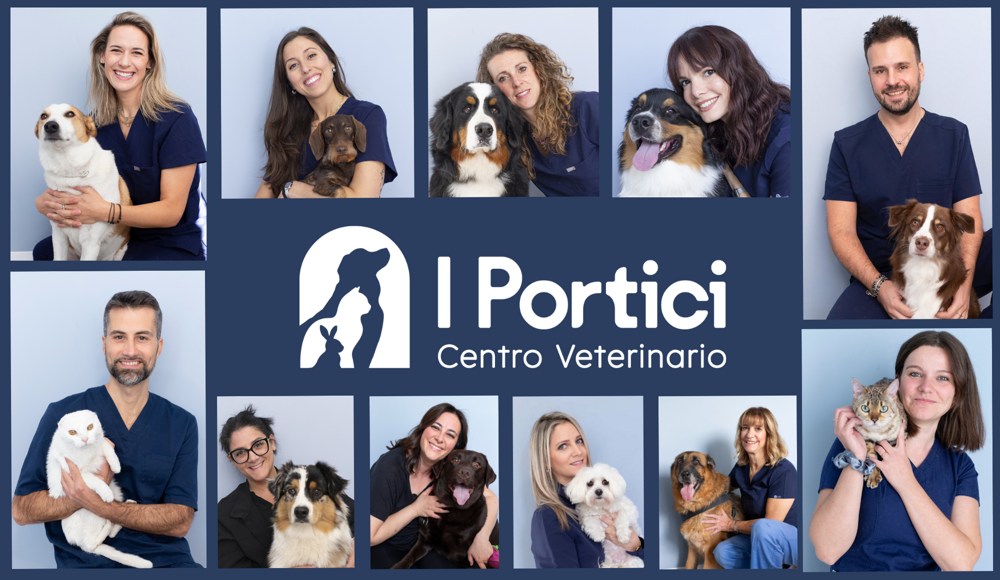 noi portici (31 x 18 cm)