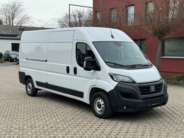 ducato.jpeg