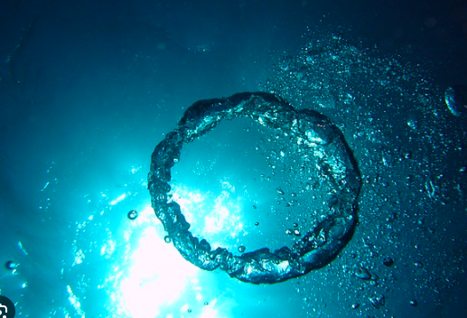 Meccanismi molecolari: modulazione antiossidante e immunitaria Meccanismi molecolari: modulazione antiossidante e immunitaria