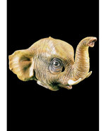 maschera-elefante-in-lattice