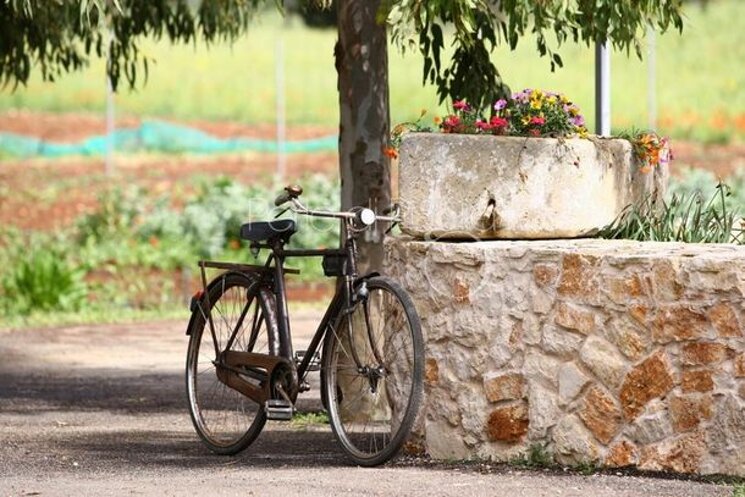 page_brindisisandonaci-villapizzi010013