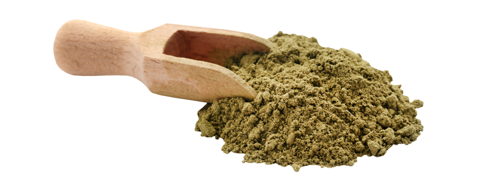 erbe tintorie parrucchiere bio palermo