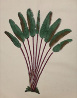 copriletto-singolo-alberi